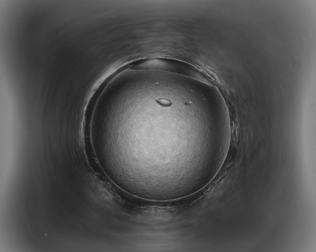 X0000088380292200705221059