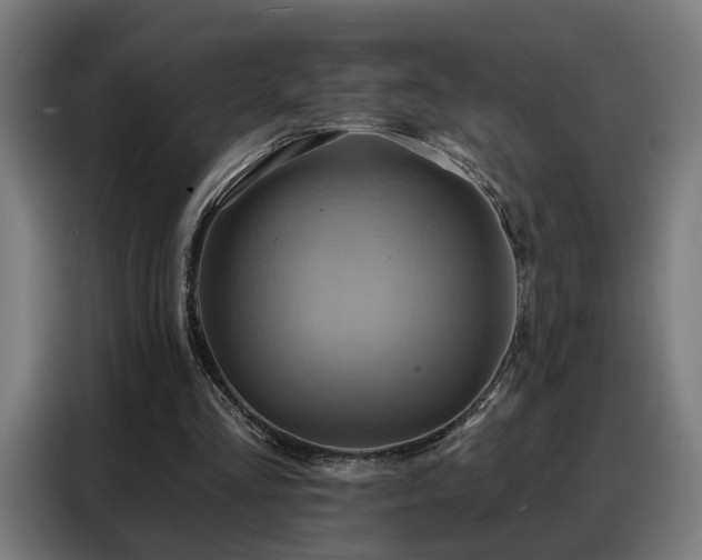 X0000088380293200705221059