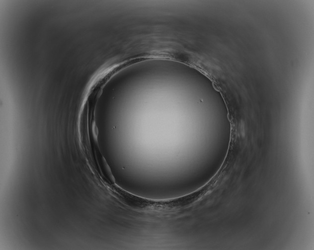 X0000088380294200705221059