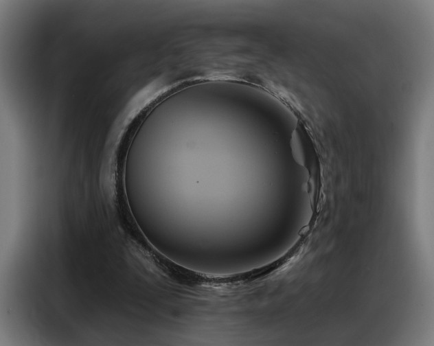 X0000088380295200705221059