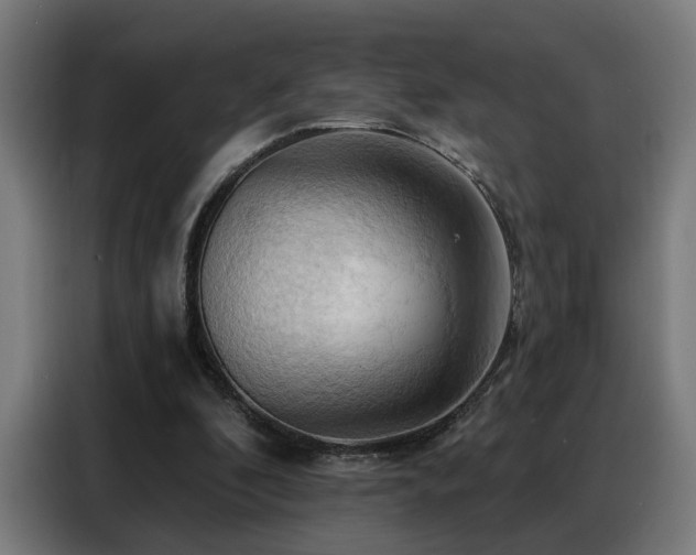 X0000088380296200705221059