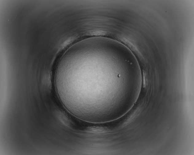 X0000088380300200705221059