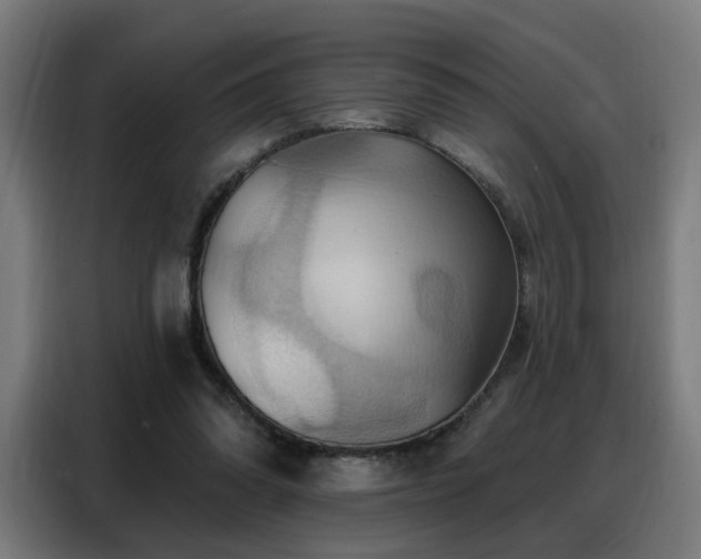 X0000088380302200705221059