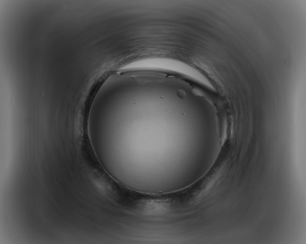 X0000088380303200705221059