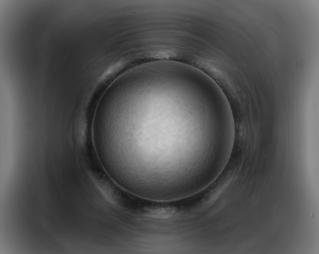 X0000088380304200705221059