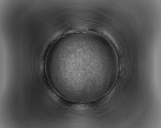 X0000088380305200705221059