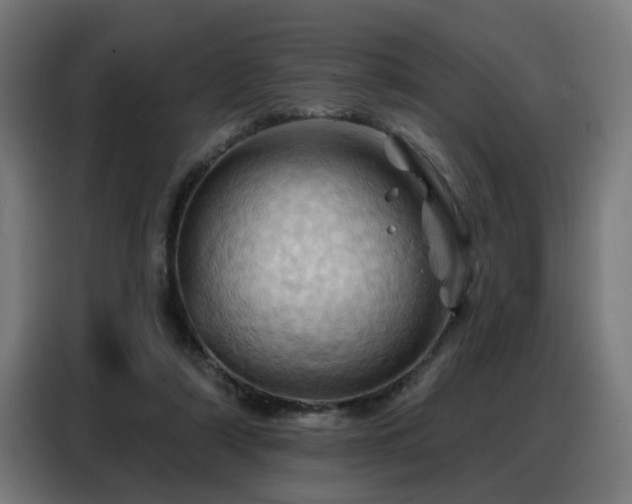 X0000088380306200705221059