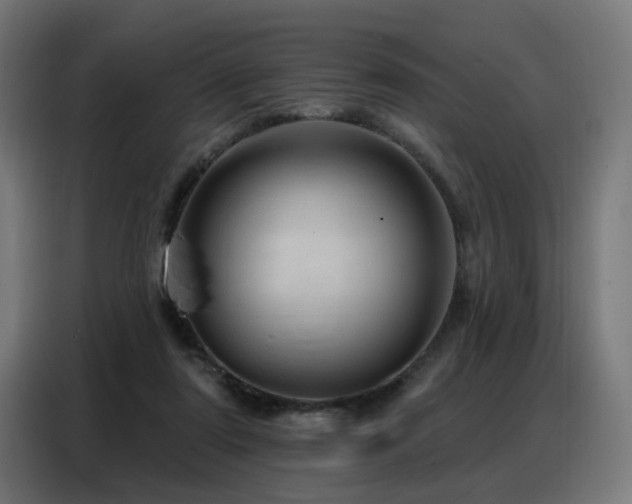 X0000088380307200705221059