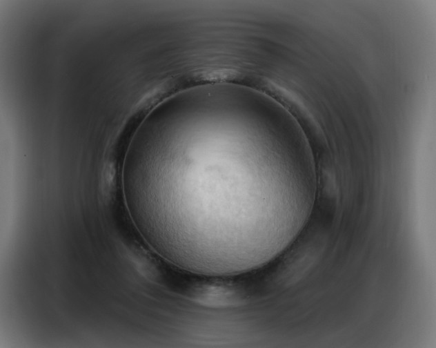 X0000088380308200705221059