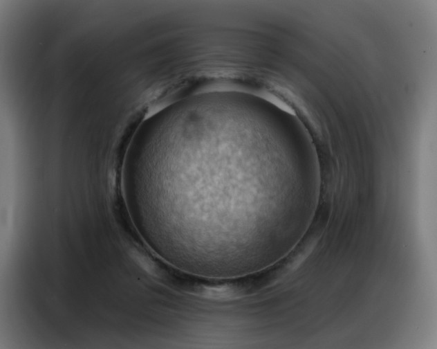 X0000088380309200705221059