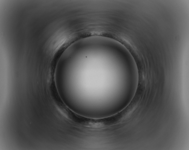 X0000088380311200705221059