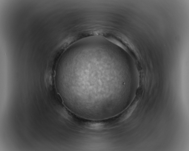 X0000088380313200705221059