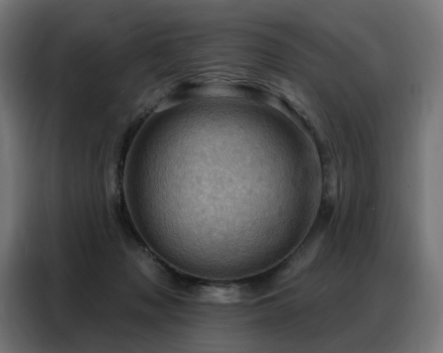 X0000088380317200705221059