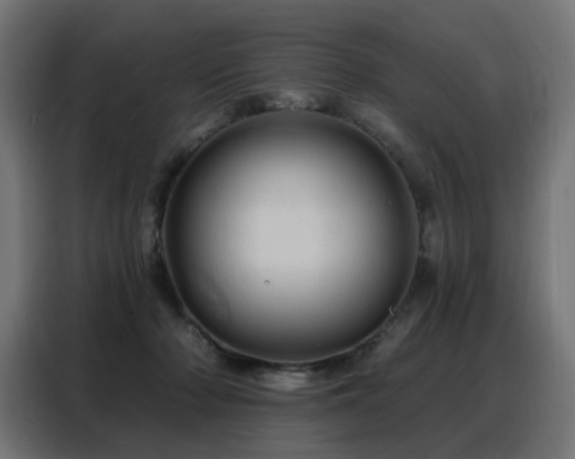 X0000088380318200705221059