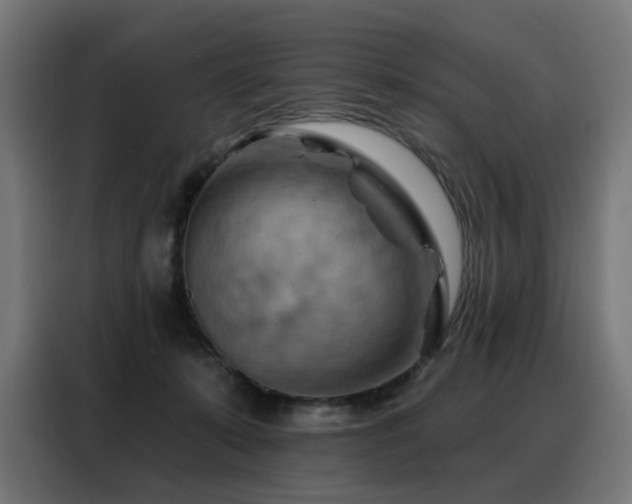 X0000088380319200705221059