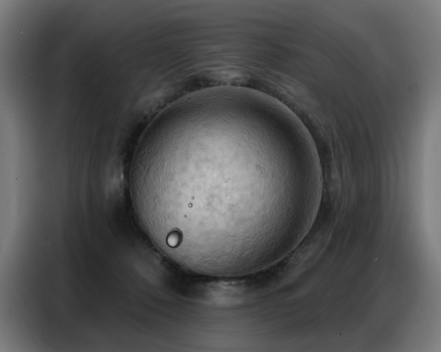 X0000088380320200705221059