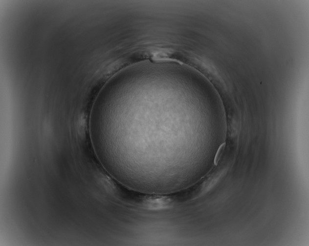 X0000088380321200705221059