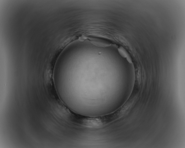 X0000088380322200705221059