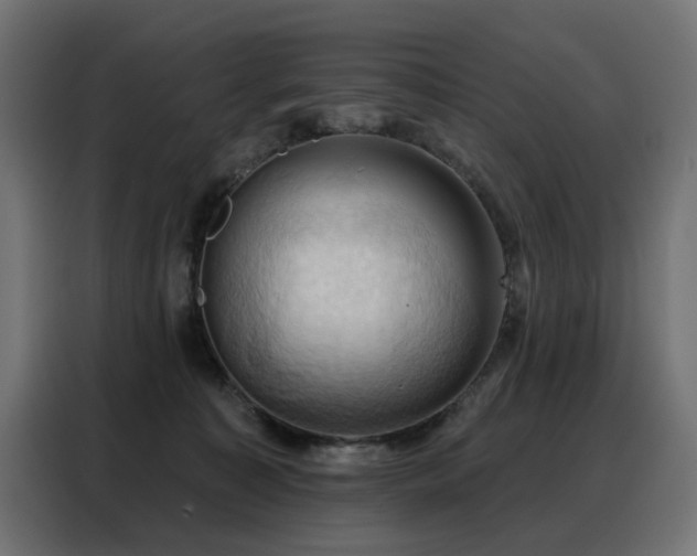X0000088380323200705221059