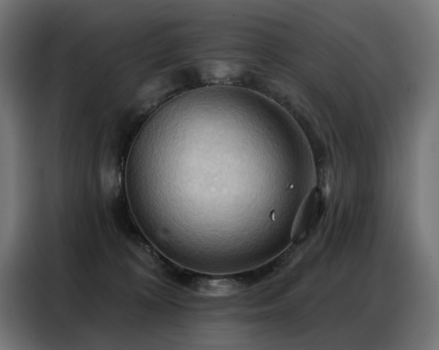 X0000088380324200705221059