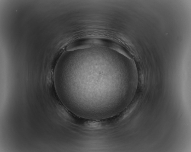 X0000088380325200705221059