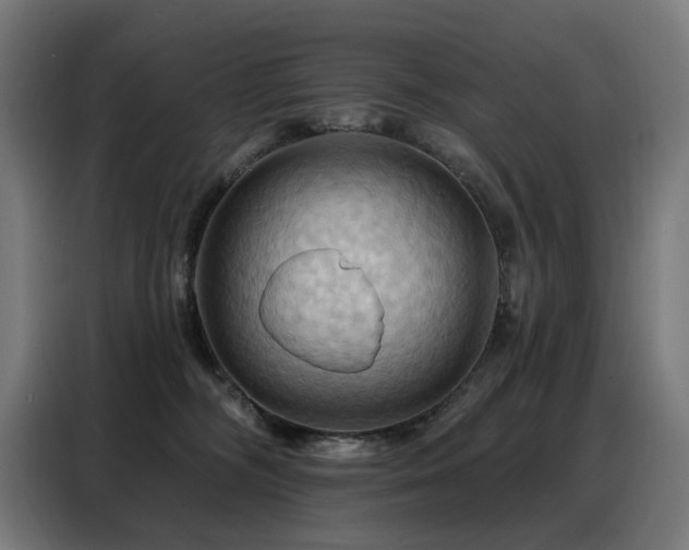 X0000088380326200705221059