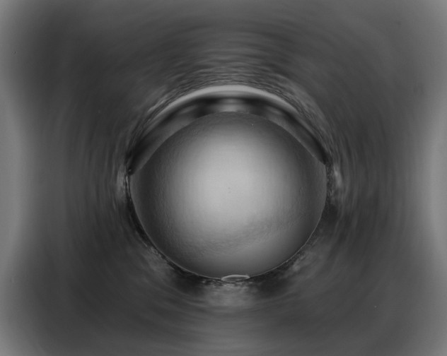 X0000088380329200705221058