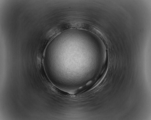 X0000088380333200705221058