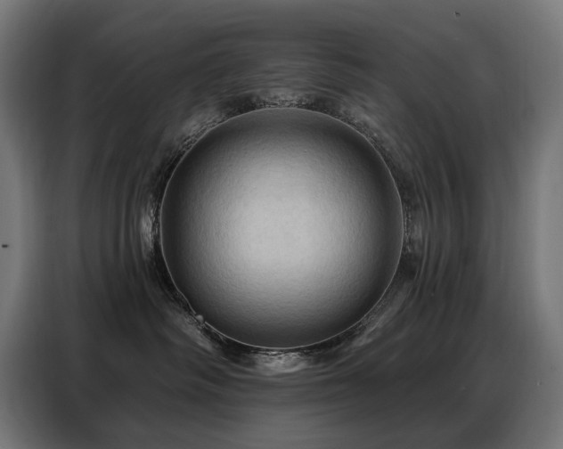X0000088380334200705221058