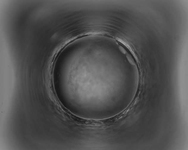 X0000088380337200705221058