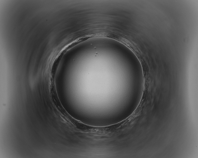 X0000088380338200705221058