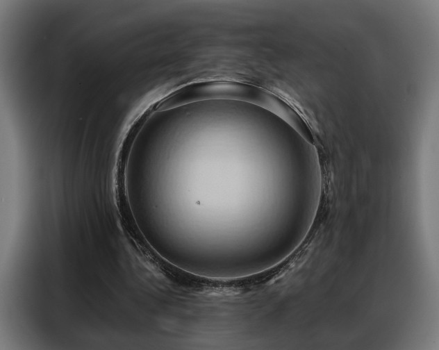 X0000088380340200705221058