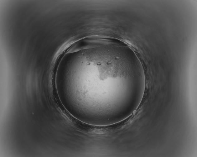 X0000088380341200705221058