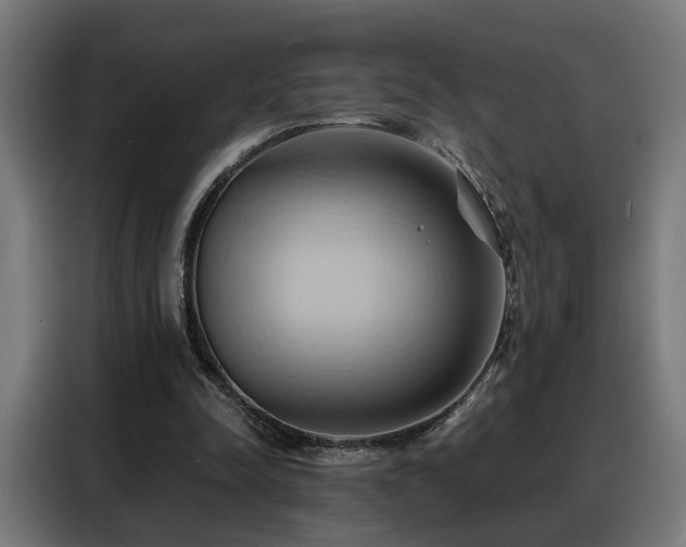 X0000088380342200705221058