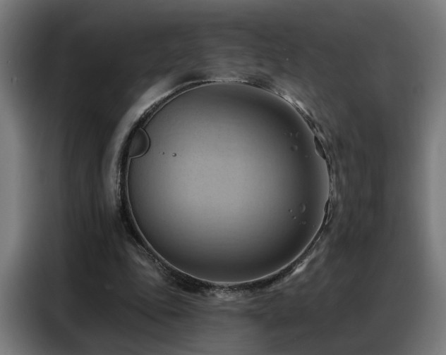 X0000088380343200705221058