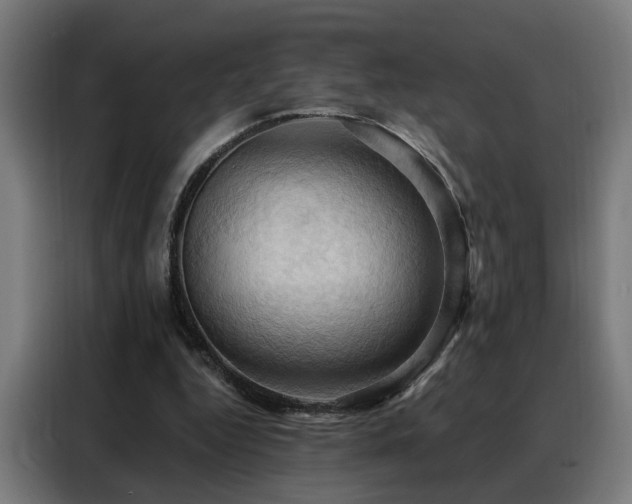 X0000088380344200705221058