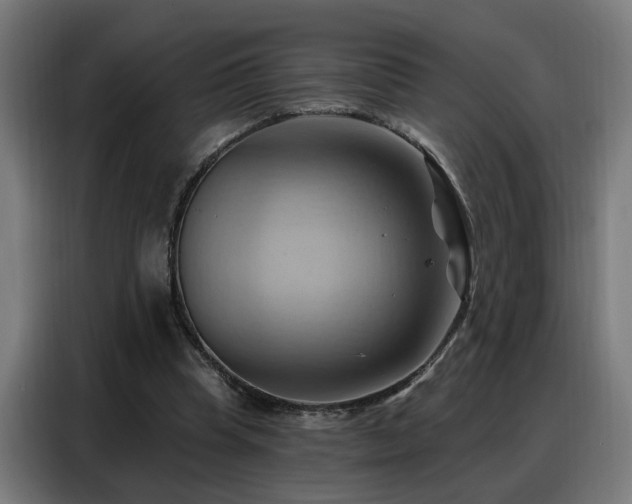 X0000088380345200705221058