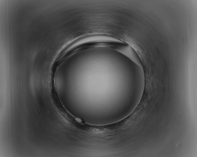 X0000088380346200705221058