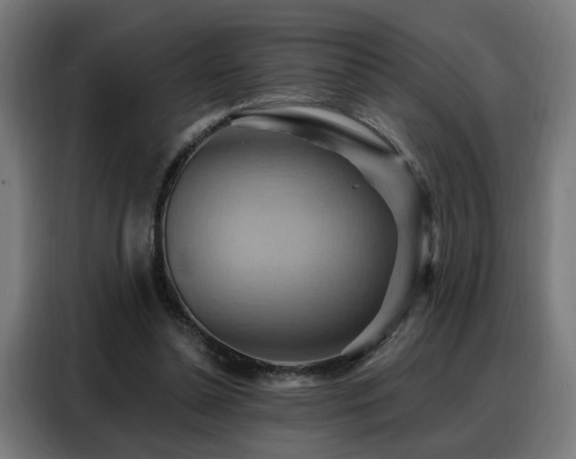 X0000088380348200705221058