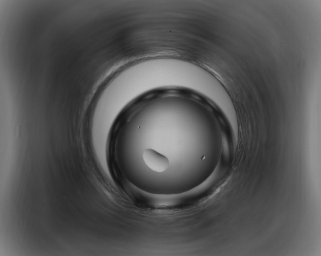 X0000088380350200705221058