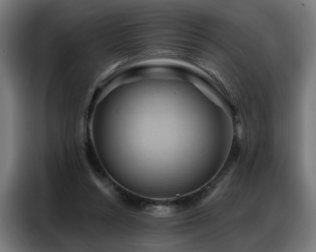 X0000088380352200705221058