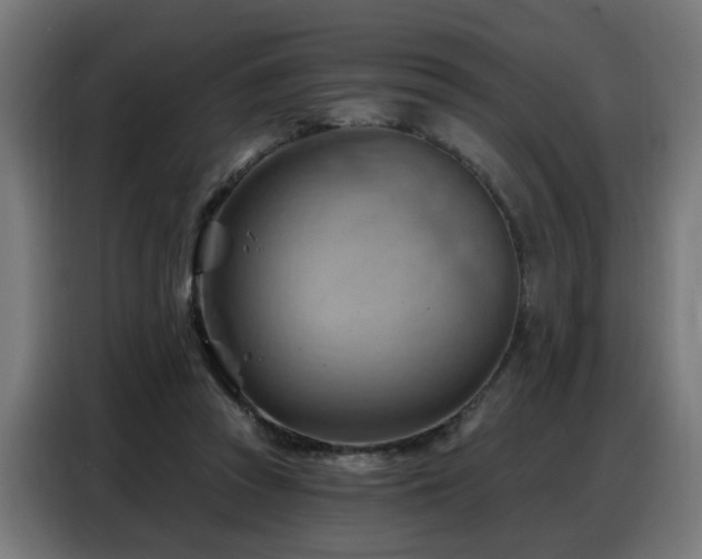 X0000088380353200705221058
