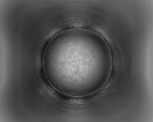 X0000088380354200705221058