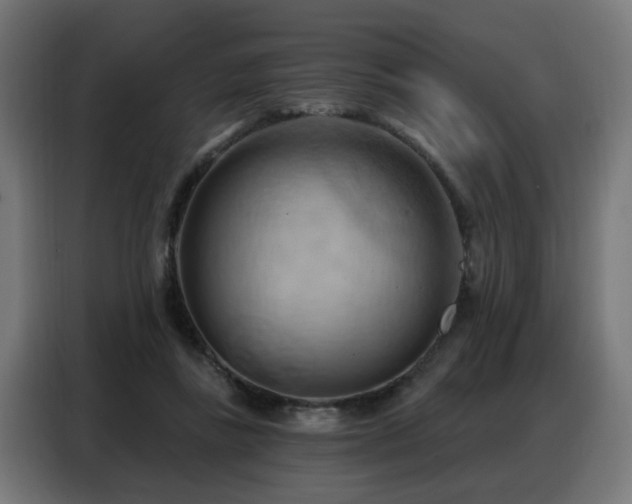 X0000088380355200705221058