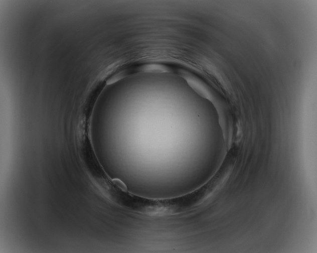 X0000088380356200705221058