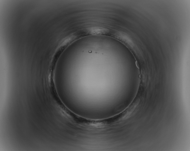 X0000088380357200705221058