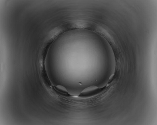 X0000088380358200705221058
