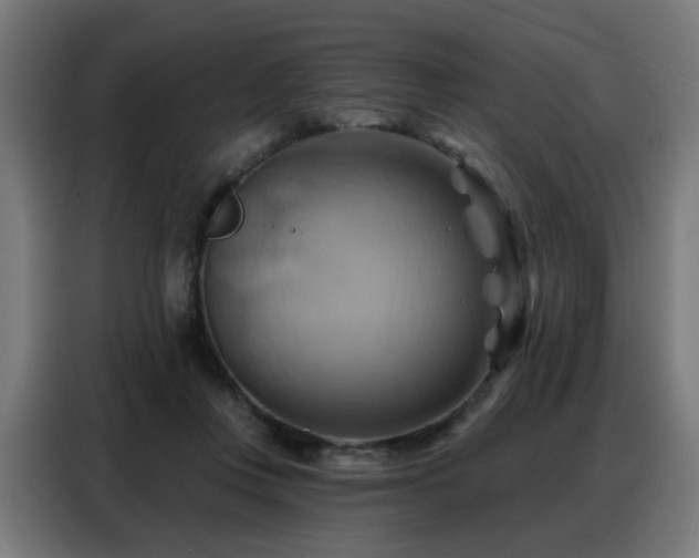 X0000088380359200705221058
