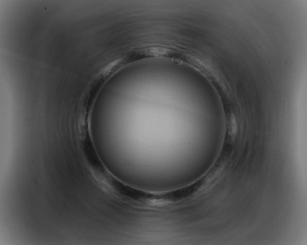 X0000088380360200705221058