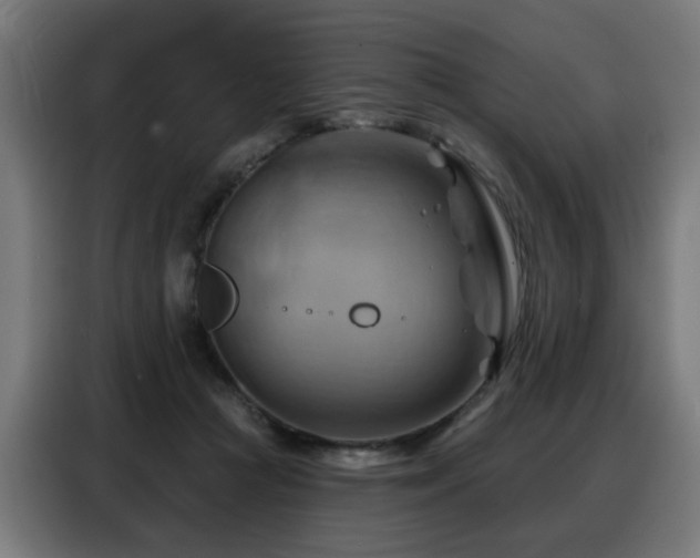 X0000088380361200705221058